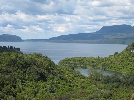 41 Lake Tarawera Overlook
